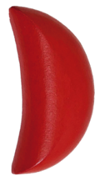 陽